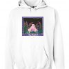 Alaska Hoodie  SU