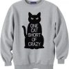 Crazy cat ladies sweatshirt