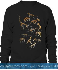 Dinosaur Skeleton Raglan Sweatshirt