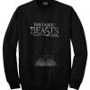 Fantastic beasts sweatshirt