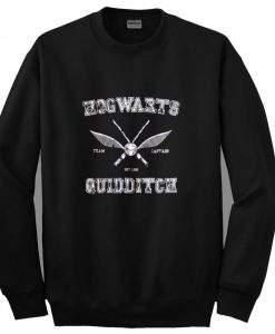 Hogwarts quidditch sweatshirt