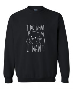 I Do What I Want sweatshirt