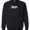 PAPI sweatshirt