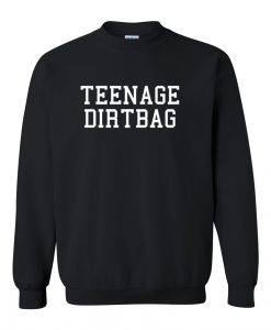 Teenage Dirtbag sweatshirt