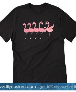 Wine And Flamingo T-Shirt