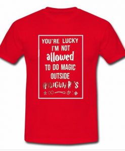 You're Lucky Im Not Allowed t shirt