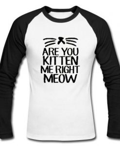 are you kitten me right meow raglan longsleeve t shirt