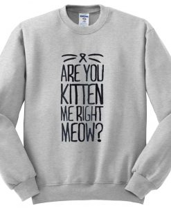 are you kitten me right meow sweatshirt