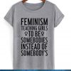 feminims teaching girls to be tshirt