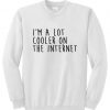 i'm a lot cooler on the internet sweatshirt