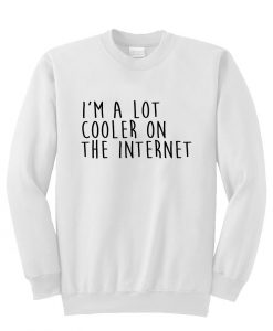 i'm a lot cooler on the internet sweatshirt