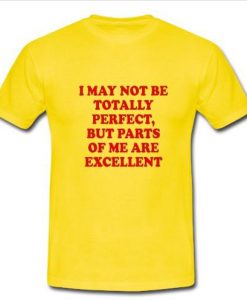 i may not be totally perfect T shirt