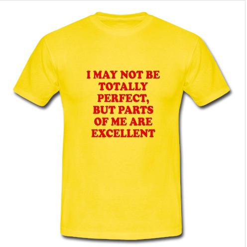 i may not be totally perfect T shirt