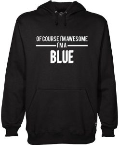 of course i'm awesome hoodie