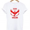 team valor t shirt