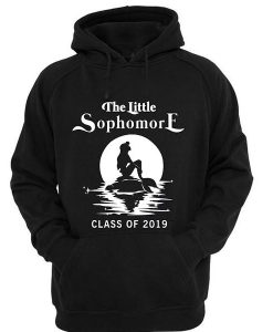 the little sophomore class of 2019 hoodie