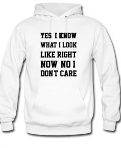 yes i know what i look like right now hoodie