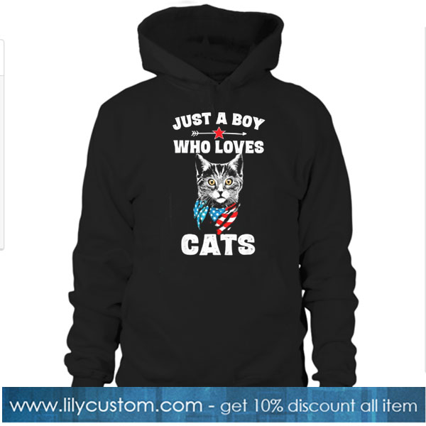 Funny Cat Shirt Gift for Boys HOODIE