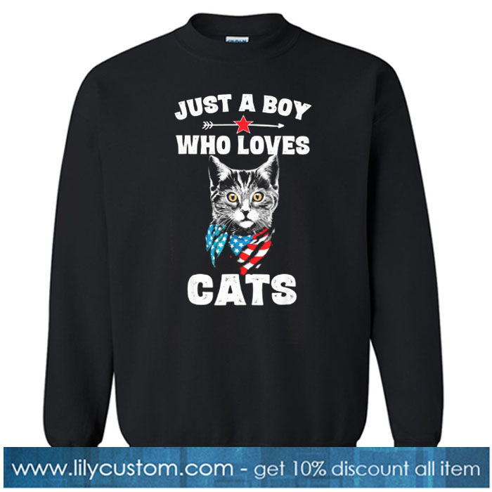 Funny Cat Shirt Gift for Boys SWEATSHIRT