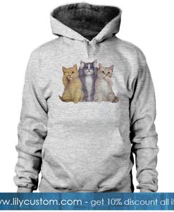 Limited Edition HOODIE SN