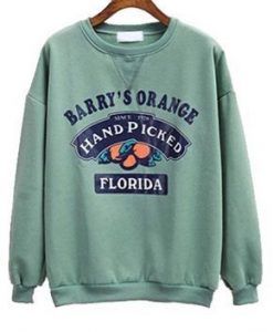 Florida Sweatshirt SN