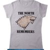 Game of Thrones Womens T-Shirt - The North Remembers SN
