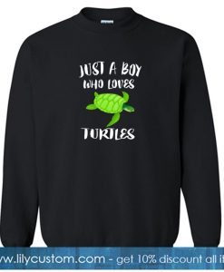 Just A Boy Who Loves Sea Turtles sweatshirt SN