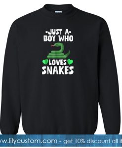 Just A Boy Who Loves Snakes sweatshirt SN