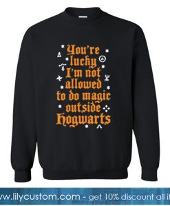 Harry Potter Hogwarts Sweatshirt-SL