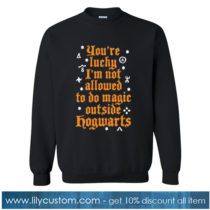 Harry Potter Hogwarts Sweatshirt-SL