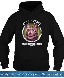 Lil Bub Rest In Peace Thanks For The Memories 2011 2019 Hoodie -SL