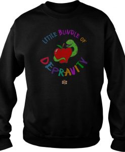 Little Bundle Of Depravity Sweatshirt-SL