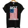 Betsy Ross Flag T-Shirt