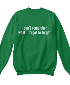 I Cant Remember What I Forgot to Forget Sweatshirt