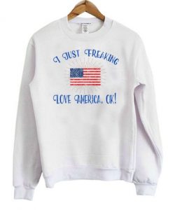 I Just Freaking Love America OK! Sweatshirt