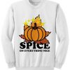 Pumpkin Spice Sweatshirt