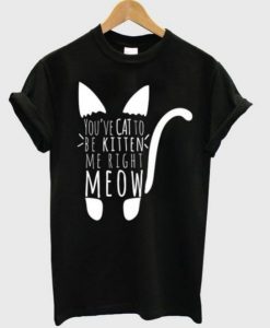you have cat T Shirt