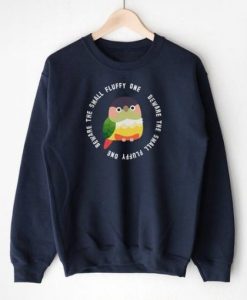 Small Fluffy Sweatshirt